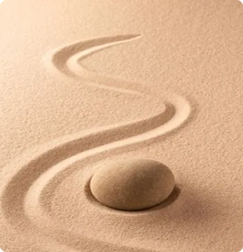 推广中 Launching Soon